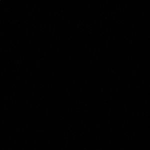 Meet your Posher, Rhonda